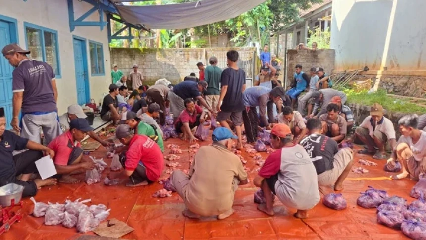 Semangat Kebersamaan Warnai Penyembelihan Hewan Kurban di Batang