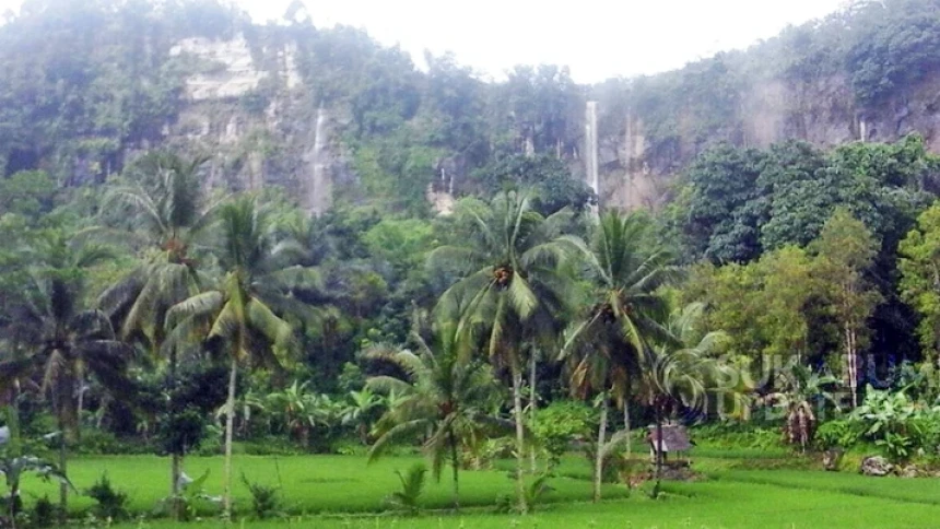 Pemerintah Didorong Ubah Alih Fungsi Hutan Produksi di Sukabumi Selatan Jadi Hutan Lindung