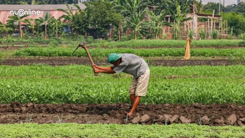 Konflik Agraria dalam Pandangan Fiqih: Bolehkah Pemerintah Mengambil Tanah Rakyat?