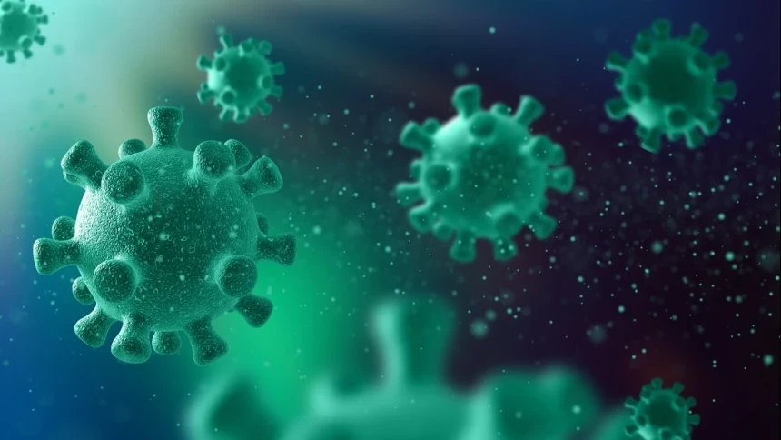 Ketua DPR RI Minta Pemerintah Tak Anggap Remeh Ancaman Hantavirus