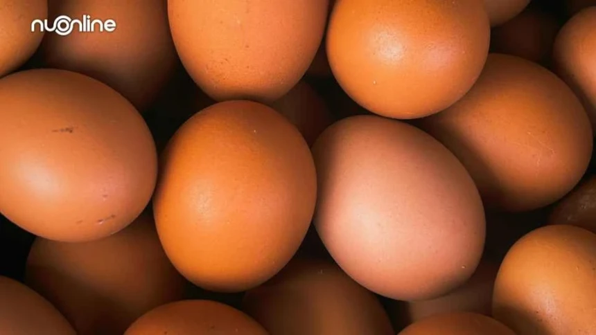 Kajian Fiqih: Apakah Telur Harus Dicuci Sebelum Dimasak?