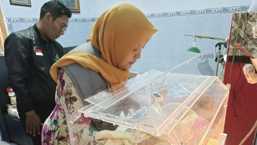 Dana Kotak Amal Makam Gus Dur Dimanfaatkan untuk Beli Inkubator dan Dipinjamkan Gratis kepada Masyarakat