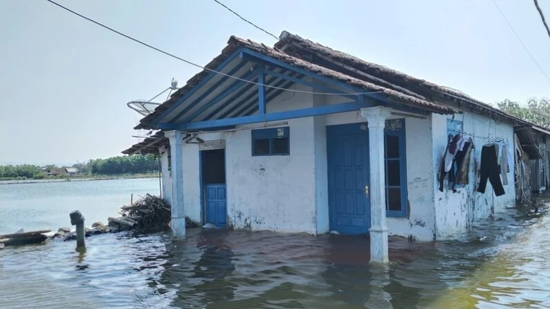 Puluhan Rumah Terendam Akibat Banjir Rob di Pati