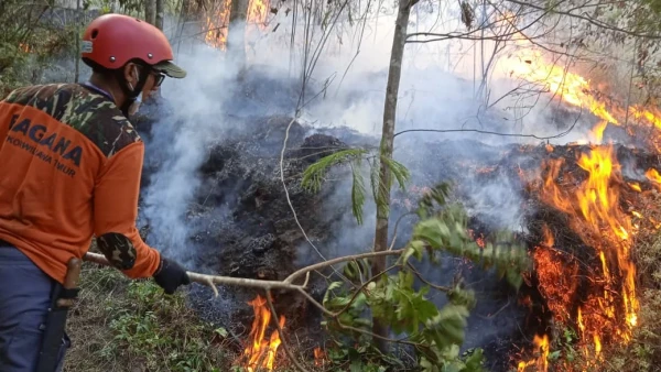 Banser Pasuruan Padamkan Karhutla di Lereng Gunung Arjuno