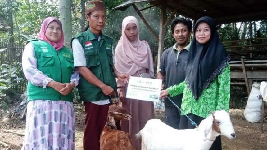 LAZISNU Sukoharjo Lampung Luncurkan Program Kambing Berkah