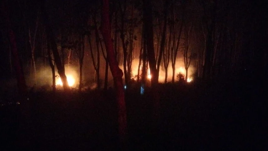 Karhutla Kembali Melanda Lampung dan Bangka Belitung, Lebih dari 83 Hektare Lahan Terbakar