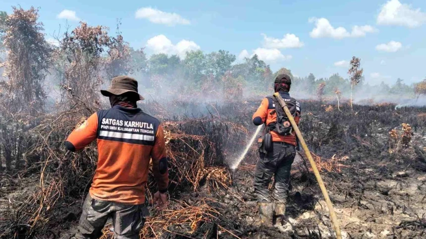 BNPB Catat Karhutla 678 Hektare, Udara Jambi dan Kalteng Masuk Kategori Berbahaya