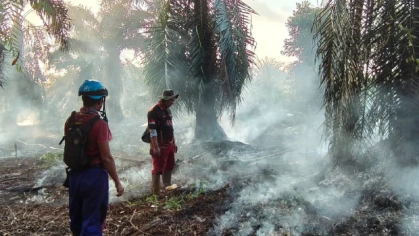 Asap Karhutla Ganggu Tanaman, Harga Pangan di Kotawaringin Barat Melambung