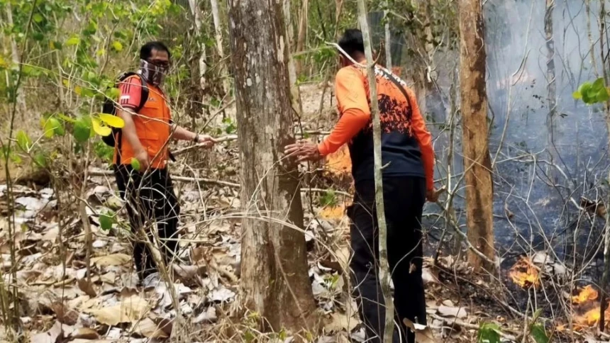 Karhutla Kembali Terjadi di Jateng dan Jatim, Warga Jangan Bersihkan Lahan dengan Cara Dibakar