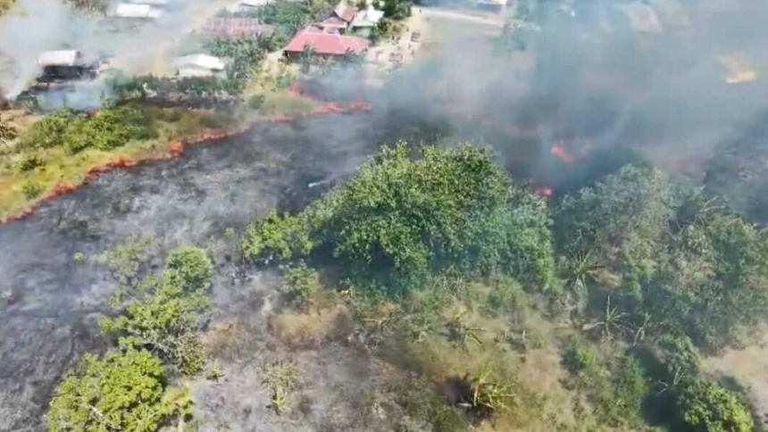 Karhutla Meluas ke Jawa dan Sulawesi, Belasan Hektare Lahan Hangus di Tengah Puncak Musim Kemarau