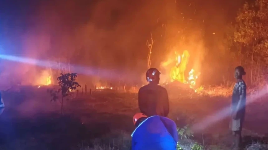 5.923 Titik Api Terdeteksi di 6 Provinsi dan Luas Lahan yang Terbakar Capai 62.786 Hektare