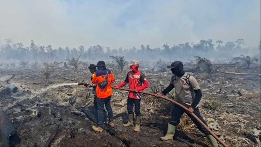 Kebakaran Hutan Terjadi di Aceh dan Sumatra Barat di Hari yang Sama