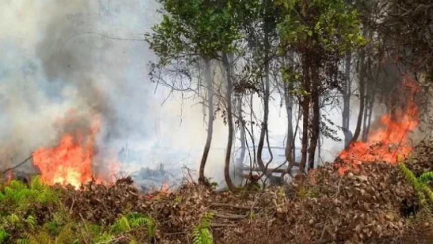 Asap Karhutla Ganggu Penerbangan, Jarak Pandang di Sejumlah Bandara di Bawah 1 Km