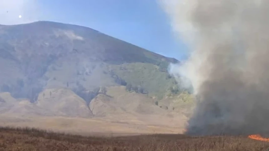 Karhutla Kepung Sejumlah Gunung di Jawa Timur, dari Bromo hingga Semeru