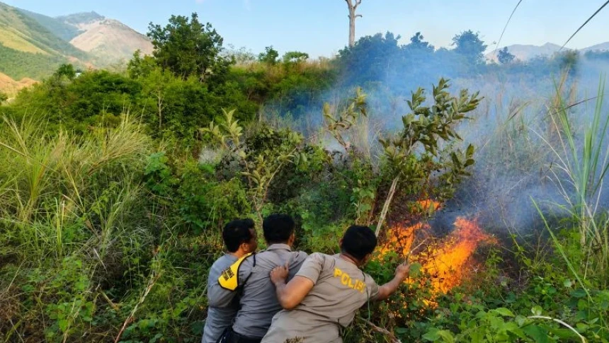 Kebakaran Hutan Terus Berulang, Walhi Soroti Lemahnya Kemauan Politik Pemerintah