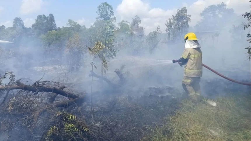 Kebakaran Hutan Kembali Terjadi di Bangka Belitung, Jawa Tengah, Jawa Timur
