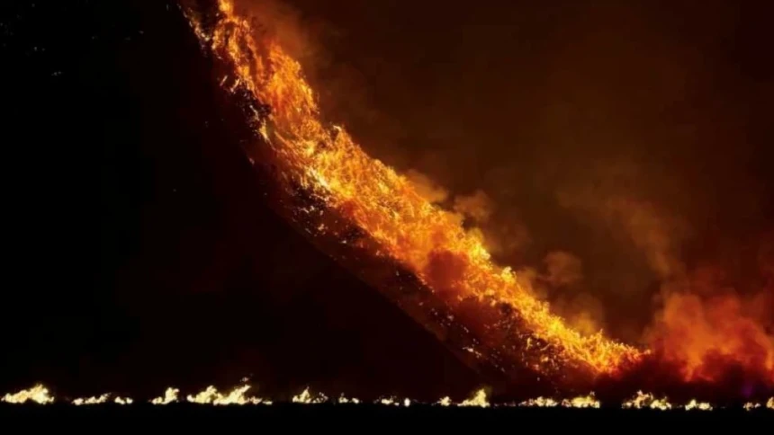 Kebakaran Gunung Bromo Meluas 889 Hektare, BNPB Ungkap Beratnya Medan hingga Minimnya Sumber Air