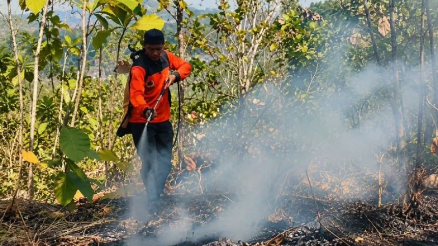Karhutla Bersamaan di 7 Provinsi, Puluhan Hektare Lahan Hangus