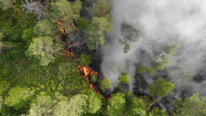 Tanpa Viskose dalam Aturan EUDR, Deforestasi Indonesia Terus Mengalir ke Eropa