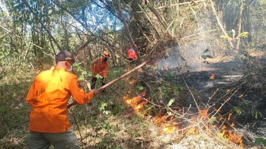 Musim Kemarau Meluas, BNPB Catat Karhutla di Empat Provinsi
