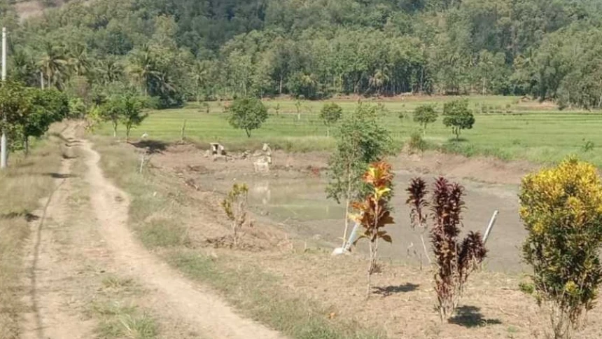 Krisis Air Gerus Hasil Pertanian Banyumas, Ansor Soroti Belum Terwujudnya Solusi Jangka Panjang