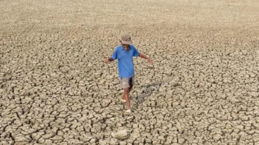 WMO Peringatkan Potensi El Nino Kuat, Risiko Cuaca Ekstrem Meningkat