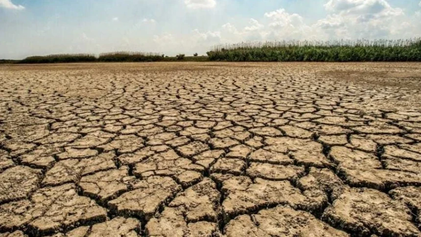 El Nino Diprediksi Berlangsung hingga 2027, Sektor Pertanian Hadapi Ancaman Kekeringan