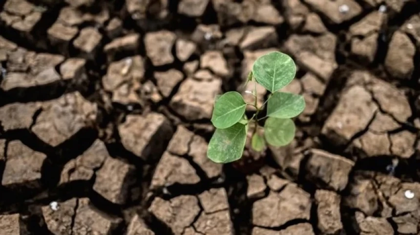 Krisis Air dan Kekeringan Berulang, Greenpeace Desak Pemerintah Bangun Strategi Jangka Panjang