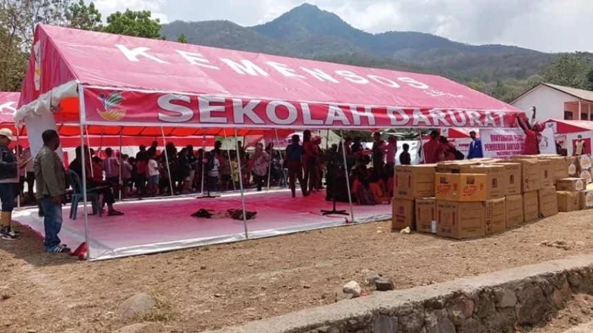 Kemensos Pastikan Seluruh Tenda Pengungsi Lewotobi Dilengkapi Palet Tahan Hujan dan Genangan