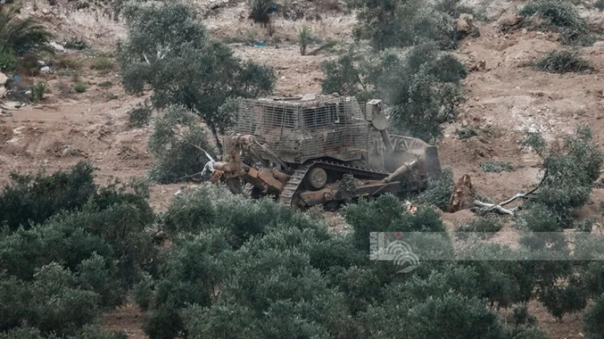 Komisi Palestina Catat 34 Serangan Pemukim Israel terhadap Petani, Lahan Zaitun hingga Pembakaran Pohon