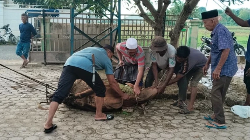 Idul Adha di Gampong Blang Dalam: Semangat Kurban dan Gotong Royong Bangkitkan Harapan