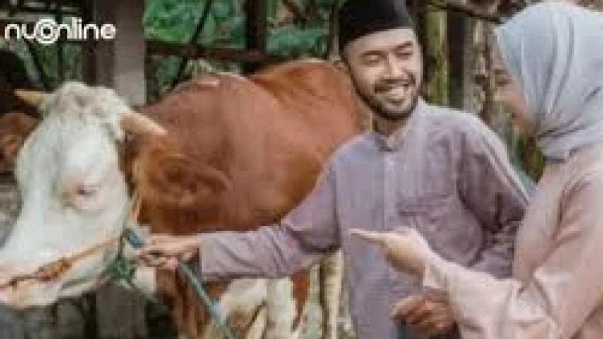 Hukum Panitia Kurban Mengambil Bagian Daging Kurban, Bolehkah?