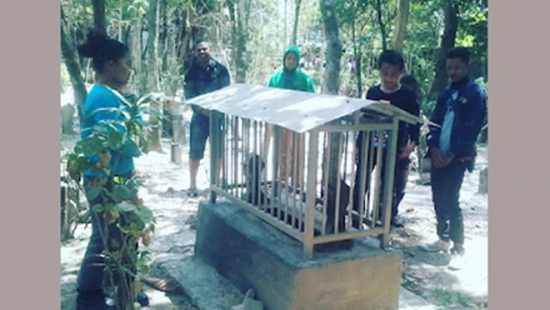 Mbah Gareng, Buyut Gus Dur yang Makamnya di Desa Ngroto Grobogan