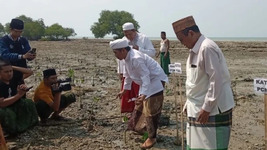 Upaya Selamatkan Lingkungan, NU Sumenep Meriahkan Hari Santri dengan Tanam Bibit Mangrove