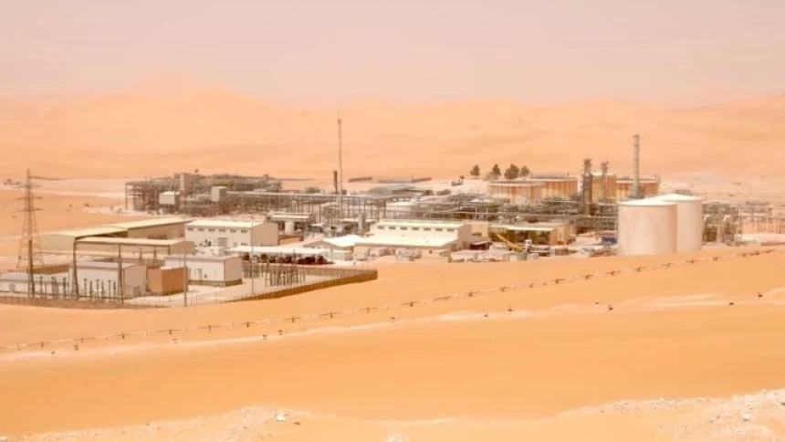 MLN Algeria, Lapangan Migas Pertama yang Dioperasikan Pertamina di Luar Negeri