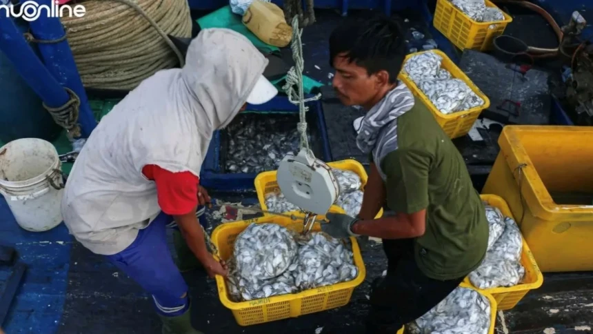 Guru Besar UGM Ungkap Nelayan Rentan Pelanggaran Hak Pekerja di Atas Kapal Perikanan