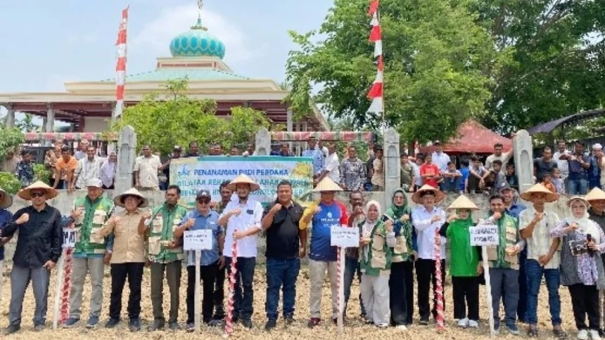 85 Hektare Sawah Pulo Siron Kembali Ditanami, Ansor Bireuen Tekankan Pemulihan Ekonomi Petani