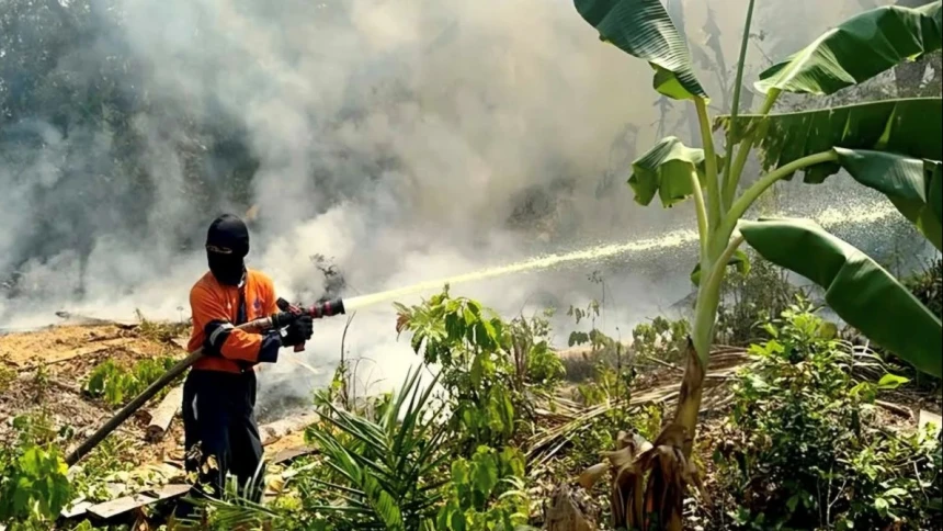 72 Ribu Hektare Lahan Gambut Terbakar di 6 Provinsi