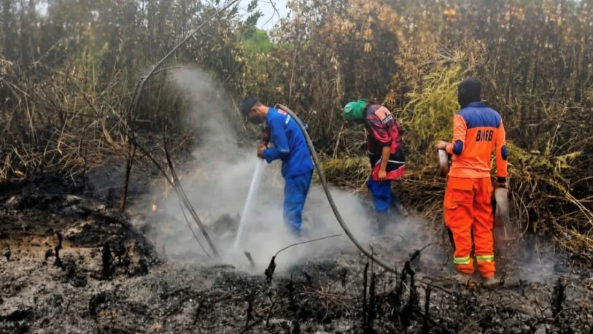 Kendala Pemadaman di 7.334 Titik Api Karhutla 6 Provinsi