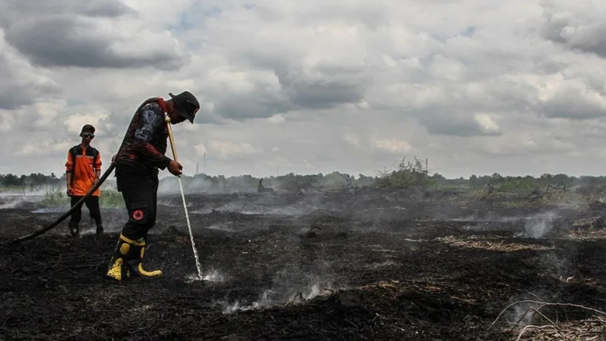 Greenpeace: 81 Tahun Merdeka, Rakyat Masih Terjebak Asap Karhutla