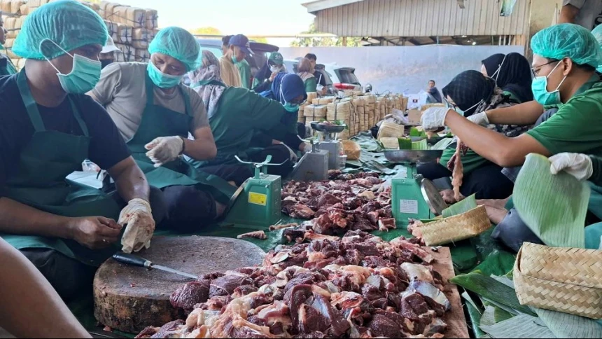 Pemotongan Hewan Kurban di RPH Utamakan Syariat Islam hingga Pengelolaan Limbah