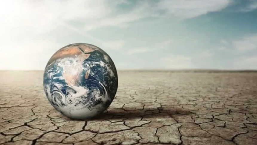 Dampak Perubahan Iklim pada Kehidupan di Bumi menurut BMKG