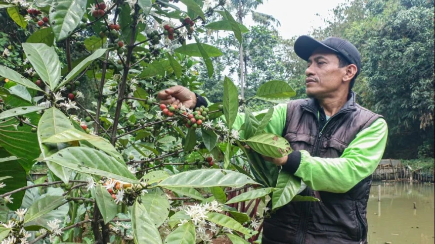Bertani di Hutan Kota Sanggabuana, Pesanggrahan, Jakarta
