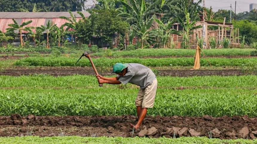 Petani Keluhkan Pemadaman Listrik Bergilir Hambat Irigasi Lahan