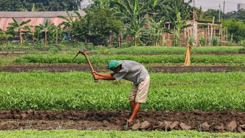 Masyarakat Sipil Soroti Usulan Penghapusan 297 DIM RUU Reforma Agraria