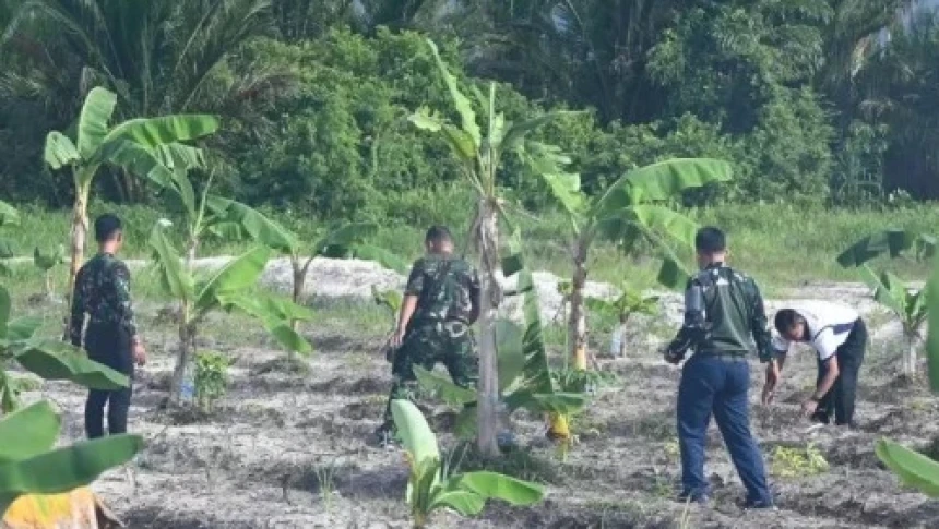 DPR Sebut TNI Terlibat Urus Pertanian Sebuah Kebanggaan, Klaim Bukan Dwifungsi