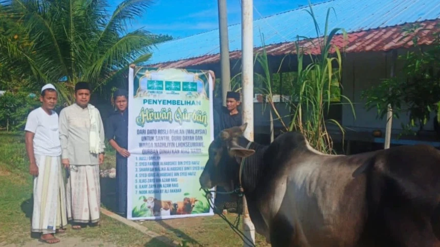 Bantuan Dermawan Malaysia, PCNU Lhokseumawe Salurkan Kurban untuk Korban Banjir dan Santri