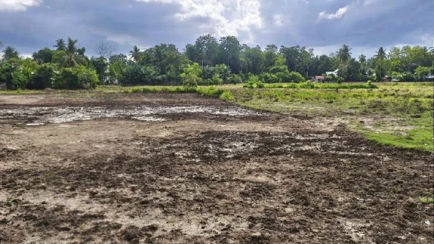 PCNU Pidie Minta Pemerintah Segera Selamatkan Sawah Petani Pascabanjir