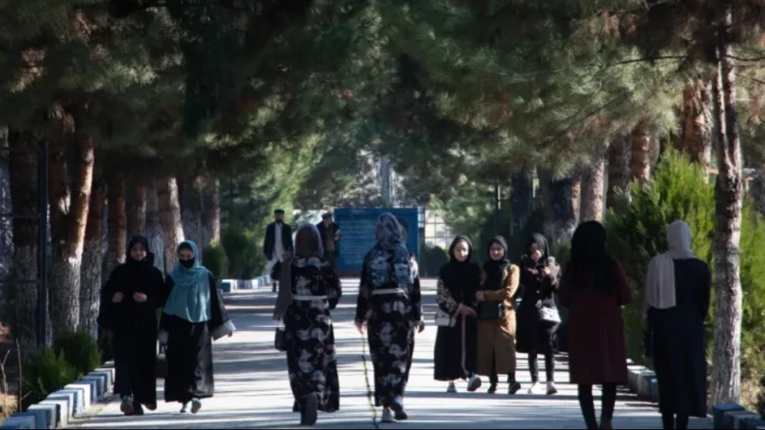Taliban Keluarkan Larangan Perempuan Berkuliah