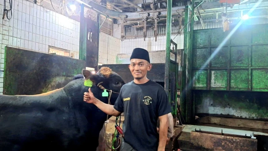 Ikut Pelatihan Juleha Jadi Kunci Tangani Hewan Kurban Selama Penyembelihan